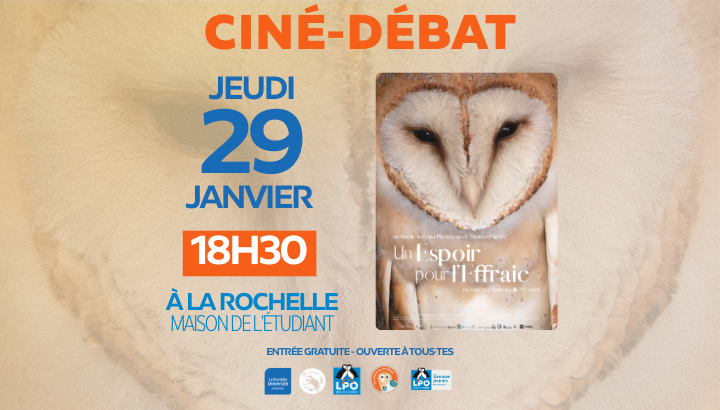 Projection "Un espoir pour l'Effraie"